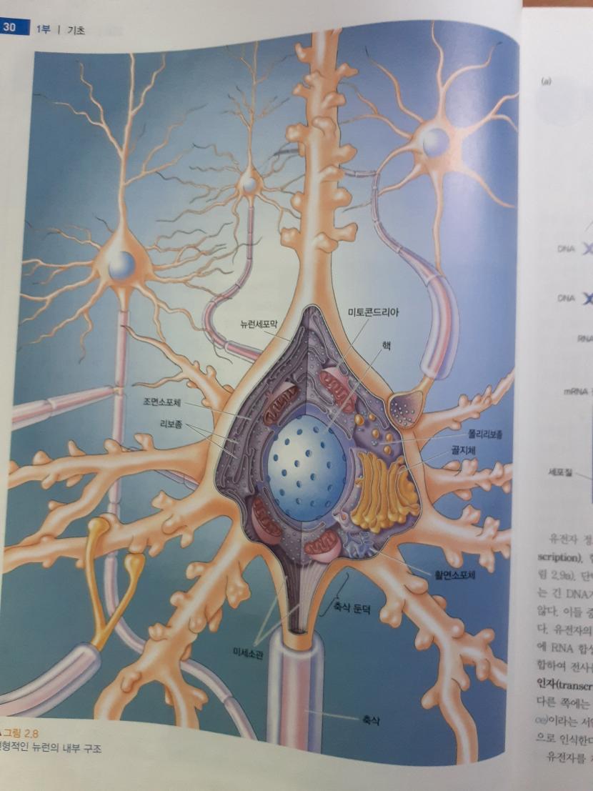 사본 -[크기변환]20200113_094738.jpg
